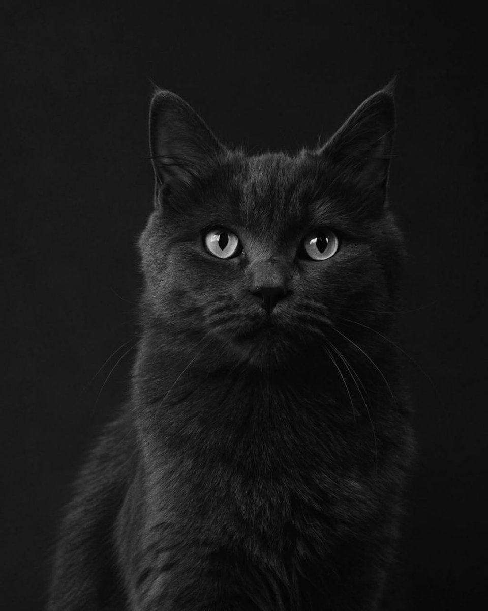 faddist724's tweet image. Excited to see the future of decentralized innovation with @PsyProtocol ! Building trust, transparency, and next‑gen solutions for the digital economy.

#PsyProtocol  $PsyProtocol