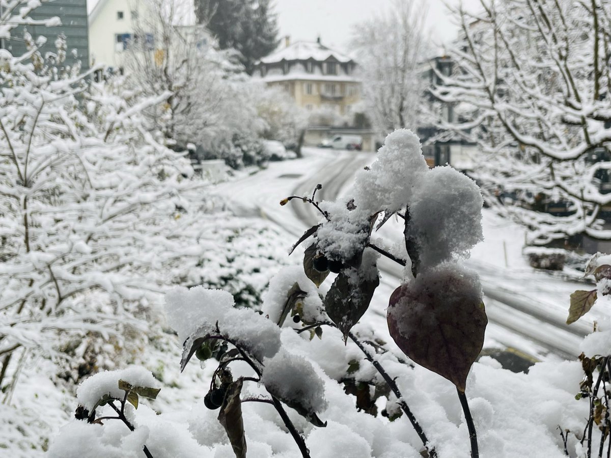 pradhiruban's tweet image. Schnee ❄️ ☃️🌨️🏂 winter begins 🧤🧥
#Schweiz #Luzern