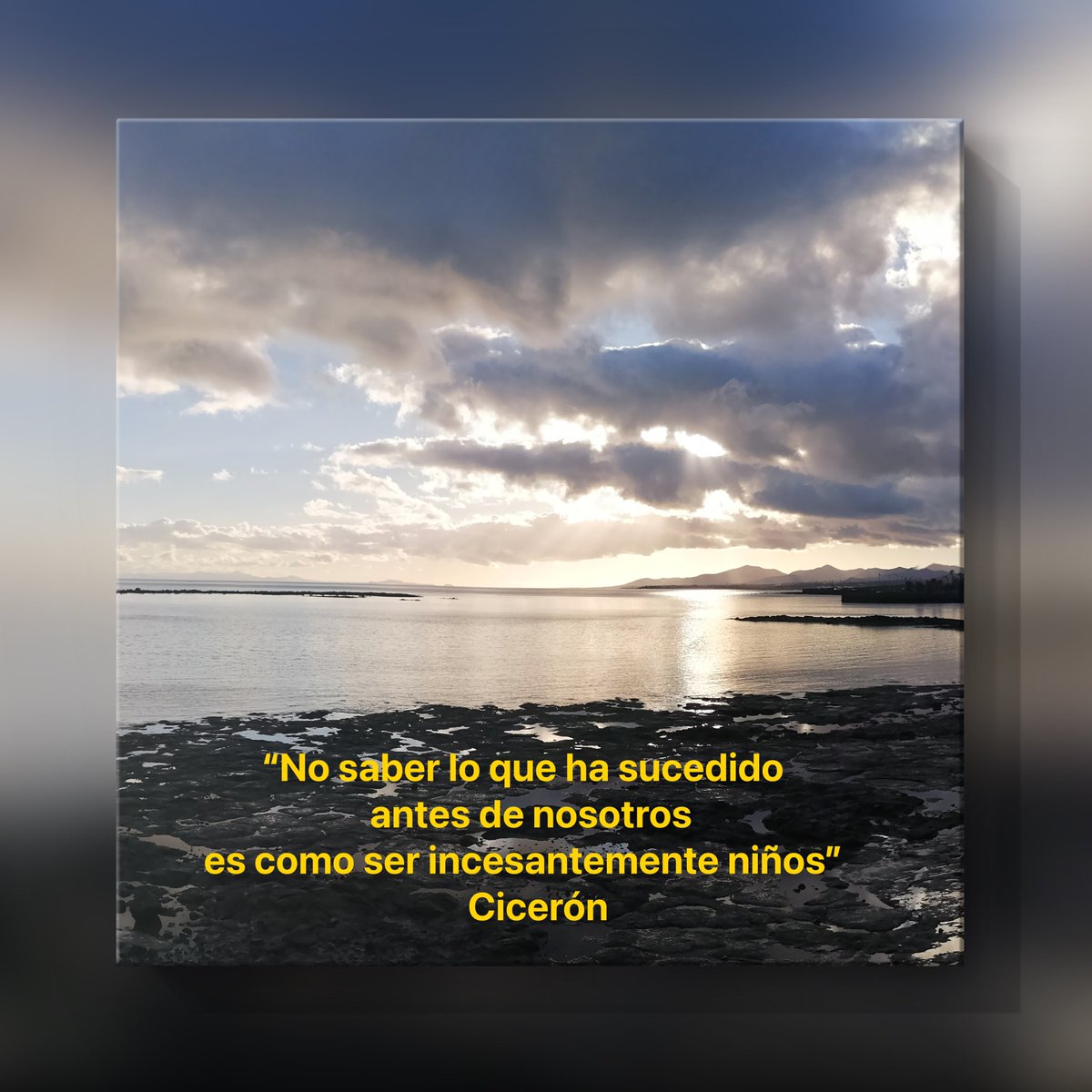 Anna Conte tweet media