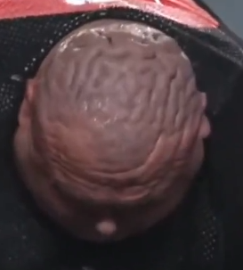 <a href="/GemCaracal/">💎 Gem Caracal 💎 🇺🇲</a> my balls