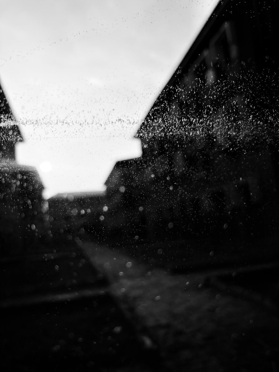 Mayor_sam9's tweet image. iShot ✨