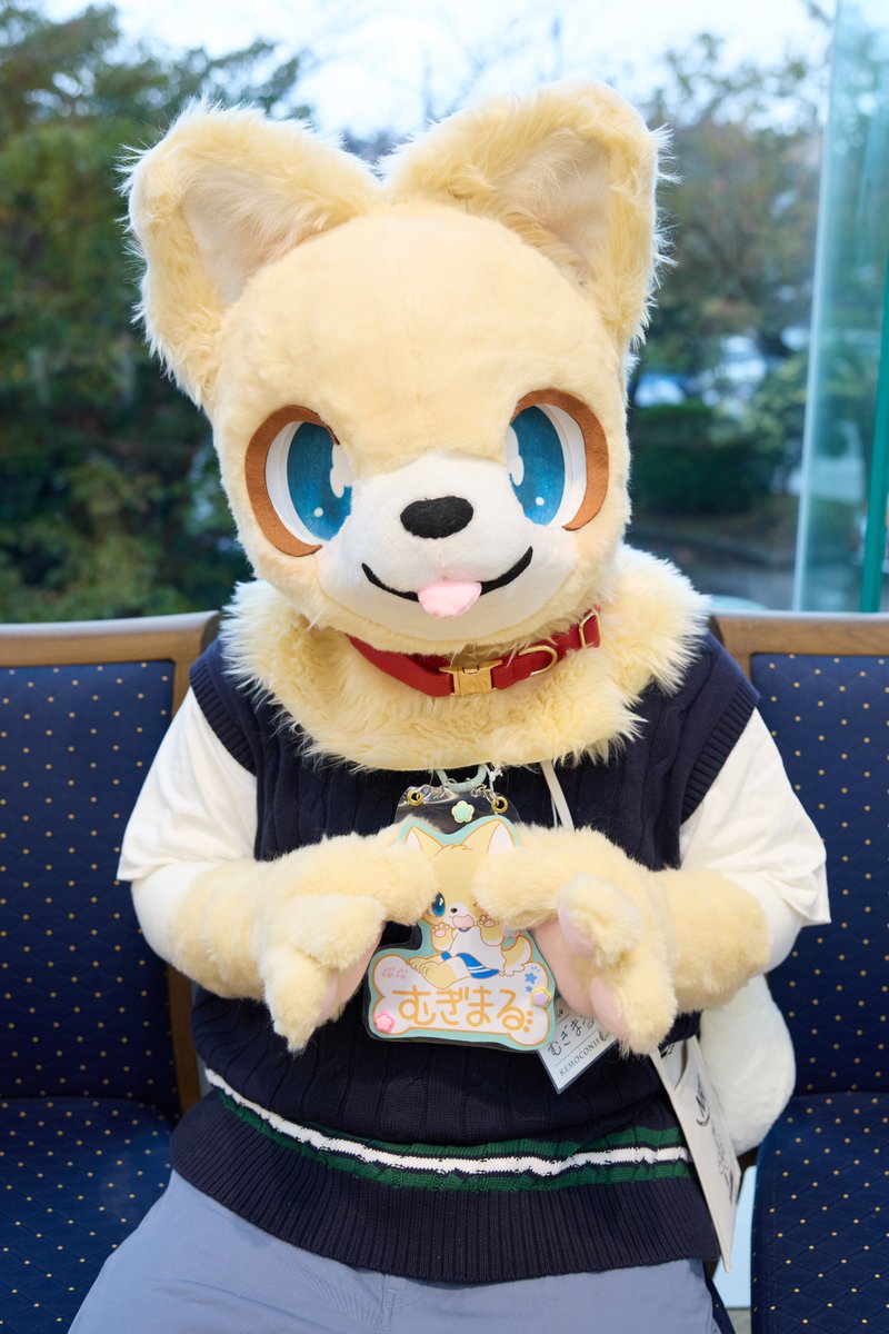 むぎまる🐾 tweet media