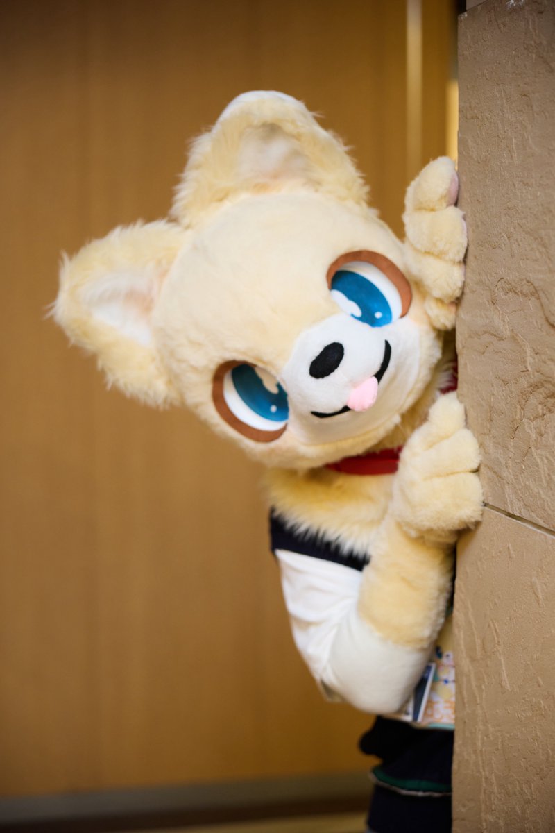 むぎまる🐾 tweet media