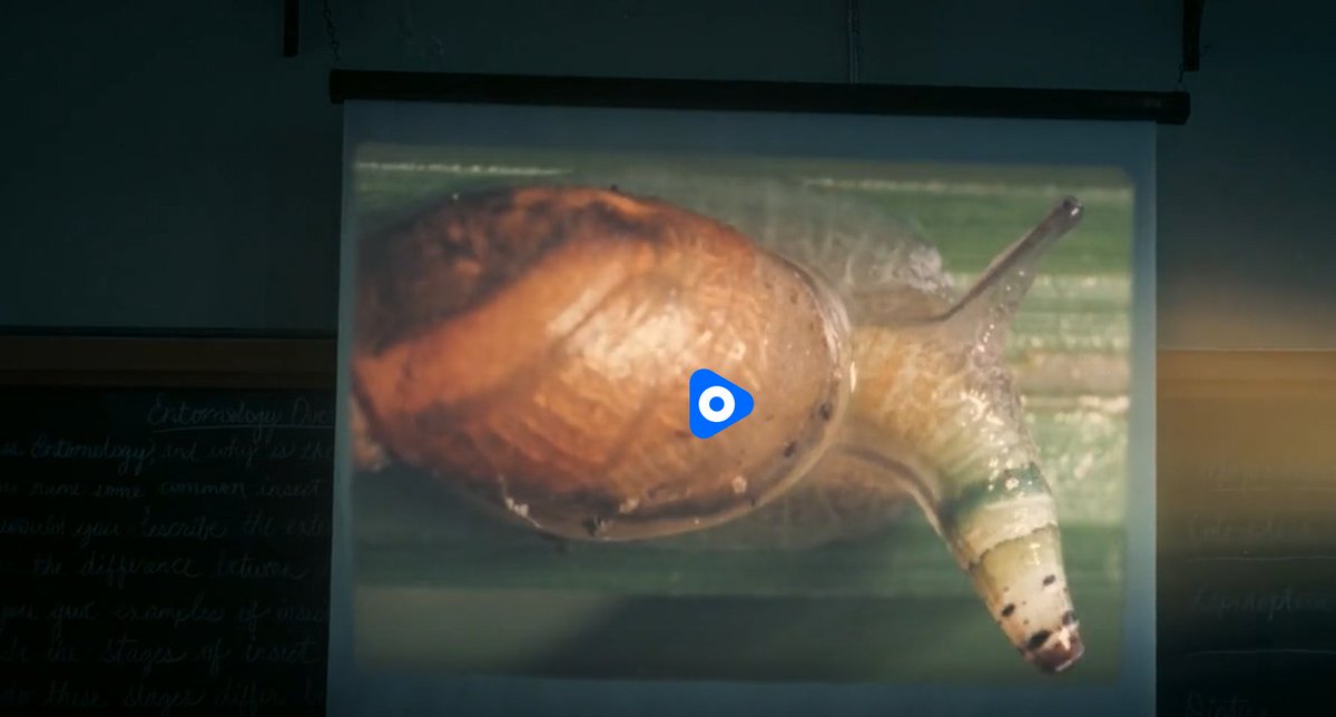 LEUCHOCLORIDIUM PARADOXUM !!