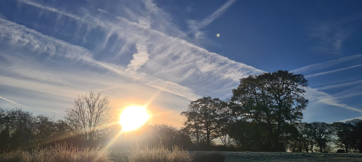 Good morning again from Damson Cottage Retreat
Follow our journey as we transform our smallholding into a unique visitor experience.
A stunning, frosty start today that’s me in the video doing my morning walk before a dip in the 1° pool! 🥶💙
Wearing my trusty Swimbler bobble hat
