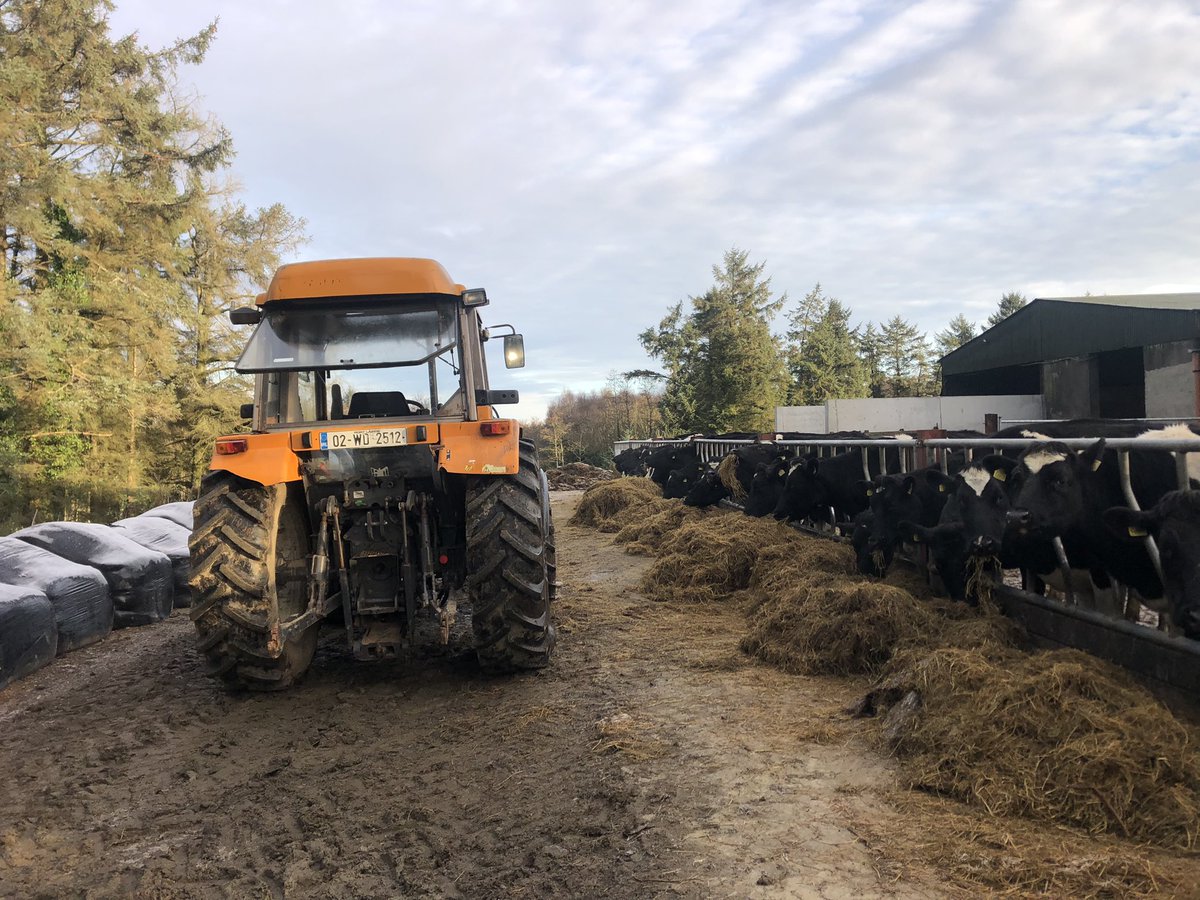 Kieran Sullivan tweet media