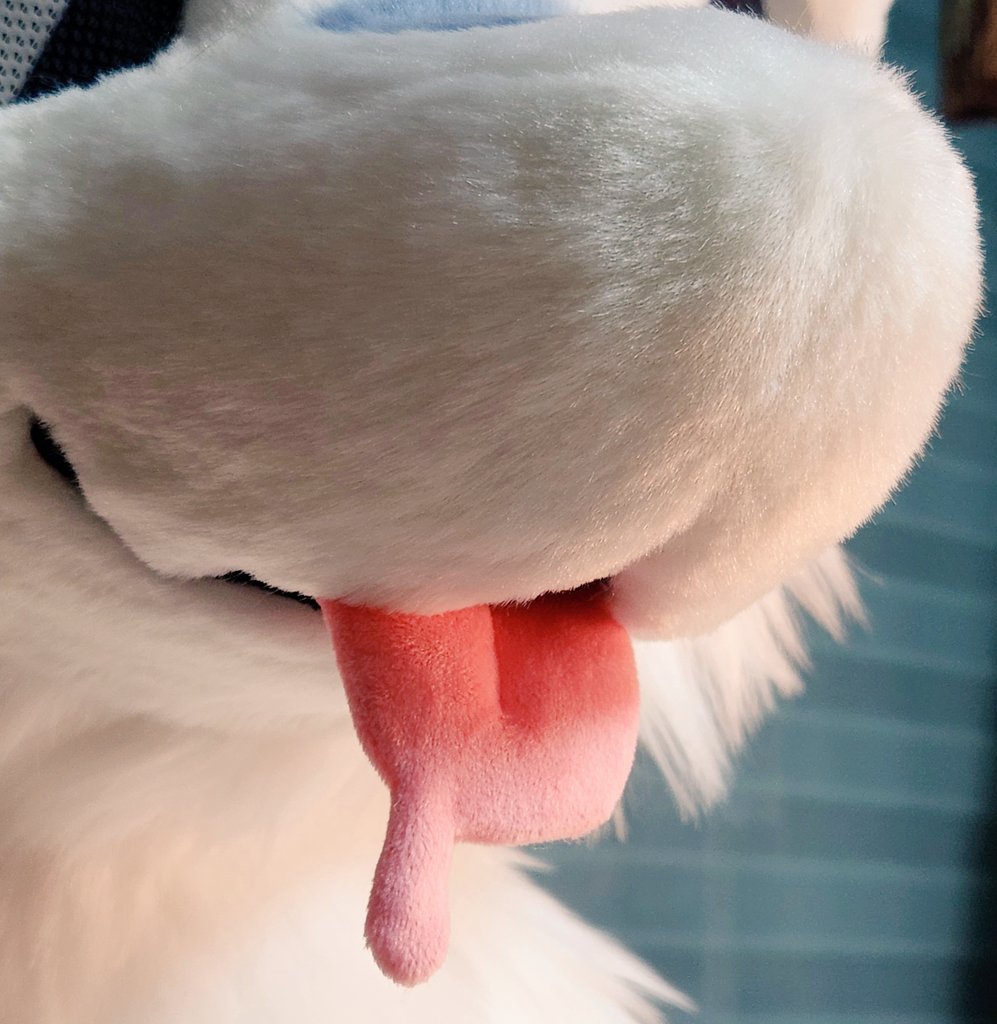 👅💦💦
#fursuit #furry