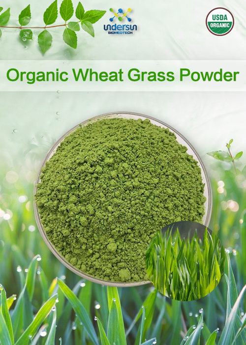 underherb150361's tweet image. What are the differences in the application of organic wheatgrass powder and organic barleygrass powder in dietary supplements formulation?

#OrganicWheatgrass #B2BIngredients #SupplementFormulation #Nutraceuticals #CleanLabel  #WellnessBrand #GreensPowder #AlkalineFormula