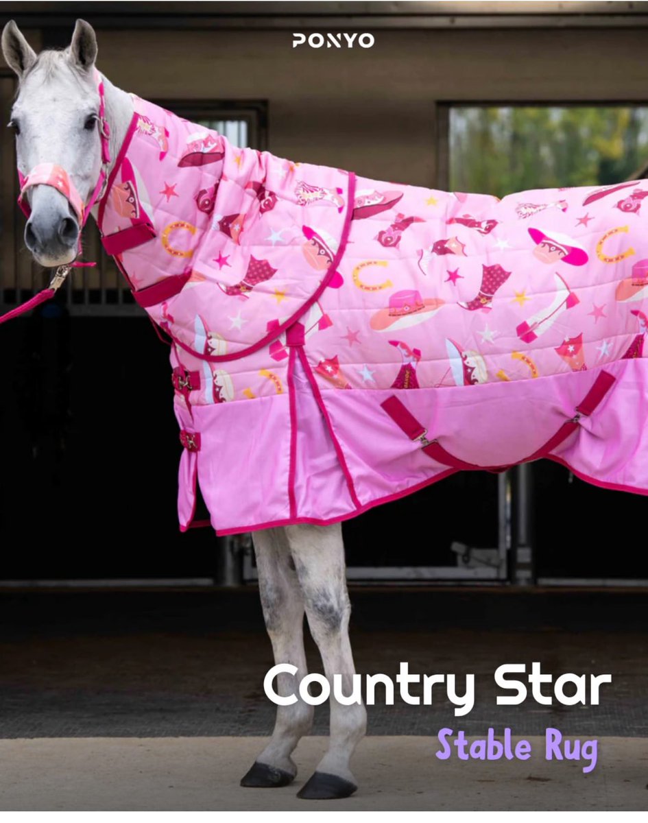 合う馬 しろまる (@shiro1maru) / Posts / X