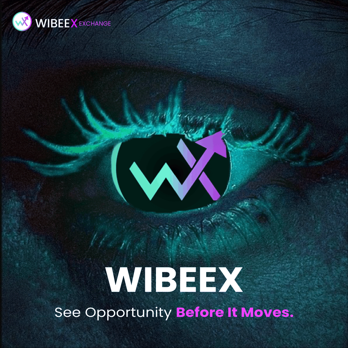 wibe_ex's tweet image. 👁️ See opportunity before it moves.
#Wibeex gives you clarity, precision, and real-time insight for smarter, confident trading. Stay ahead with vision that leads.

🌐 wibeex.com

#comingsoon #CryptoInsights #TradeSmart #MarketPrecision