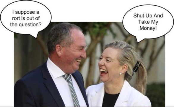 sydols's tweet image. #Pyne = #LNPCultistsGriftersLiars 
Not such a great choice @AlboMP @AustralianLabor WHAT THE BLOODY HELL ARE YOU LOT DOING?!  #auspol