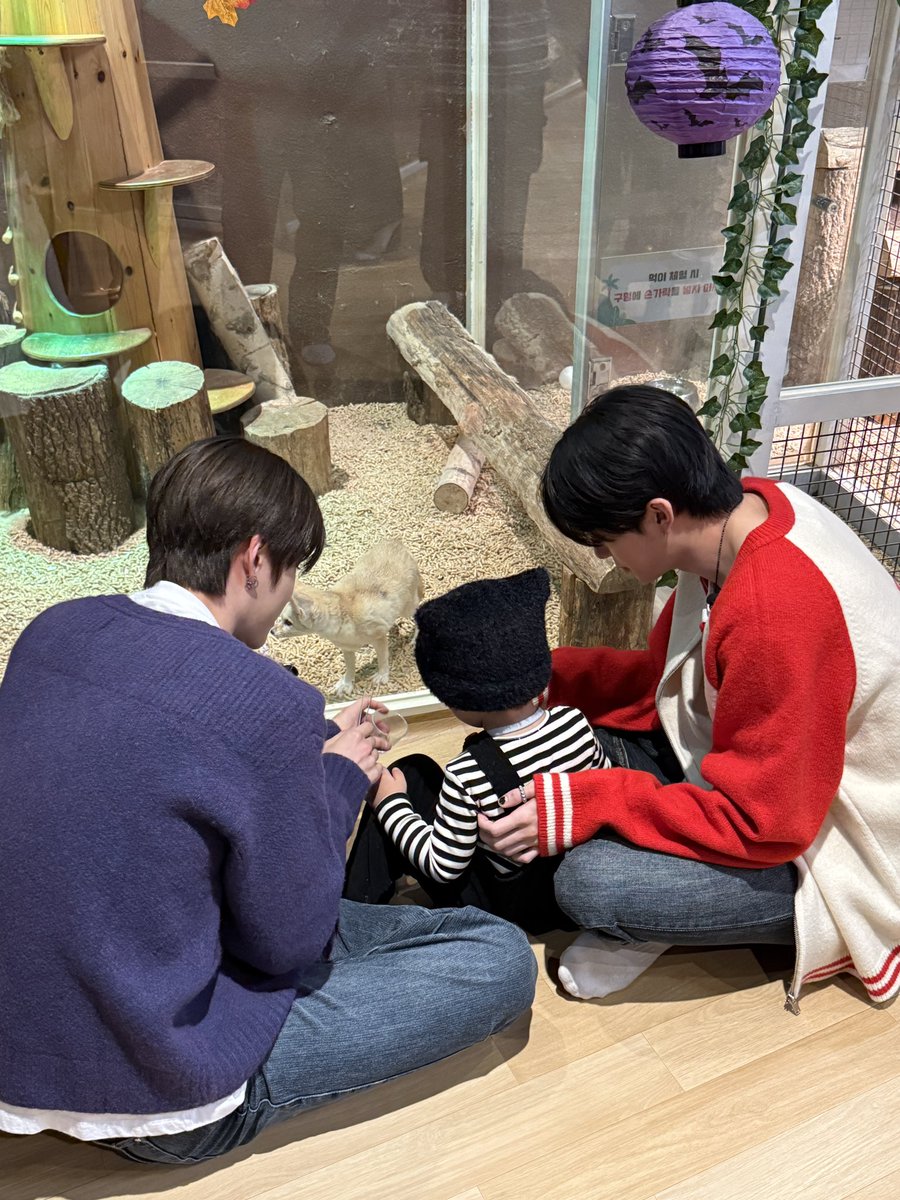 the_verivery's tweet image. [📸]
2025.11.21
#콜미베이비

이진이와 즐거운 시간을 보낸
계현, 강민 아꿍💕

#베리베리 #VERIVERY #VRVR
#계현 #GYEHYEON
#강민 #KANGMIN