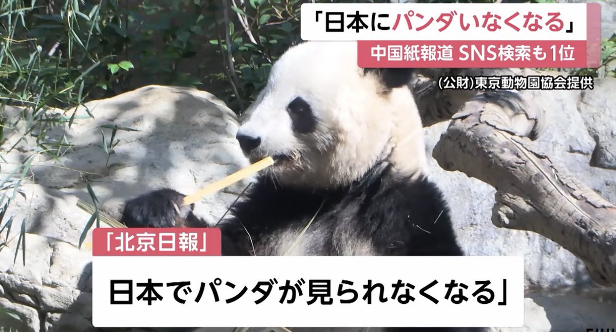 K 🇯🇵 | Japan First tweet media