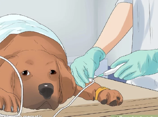 jez (equity perps era) tweet media