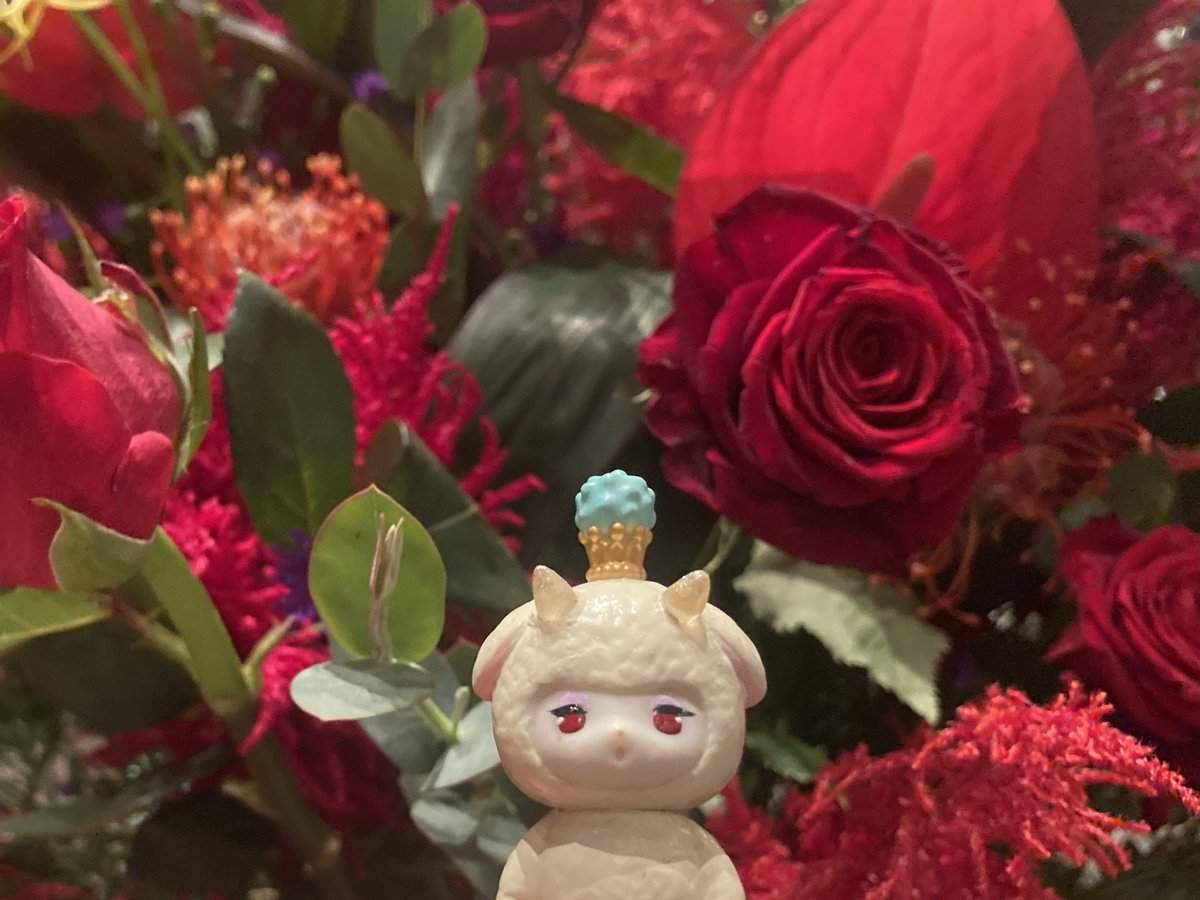 東京バレエ団さんのドン・キホーテを観にきました💃٩( ˊᗜˋ)و