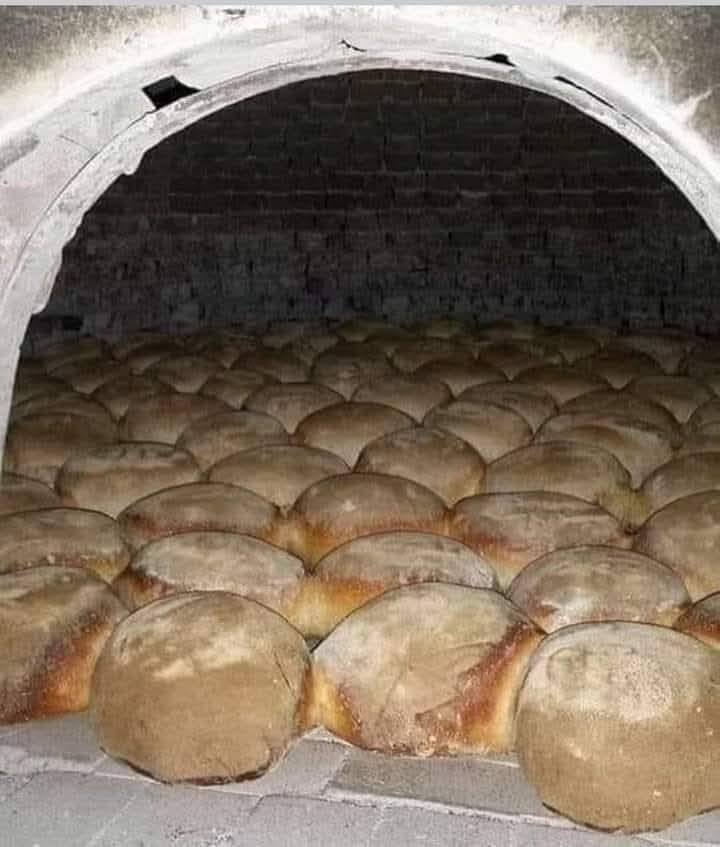 ESMER EKMEK

1948 yılına kadar Ekmeğimiz esmerdi. Maya, ekşi maya olarak evde üretilirdi, organikti, doğaldı. Sofrada doyduğumuzu bilirdik.

ABD, Anadolu’nun 14 kromozomlu siyez buğdayı ve 28 kromozomlu kavılca buğdayının genlerini oynayarak 48 kromozomlu “Cüce Buğday” türü