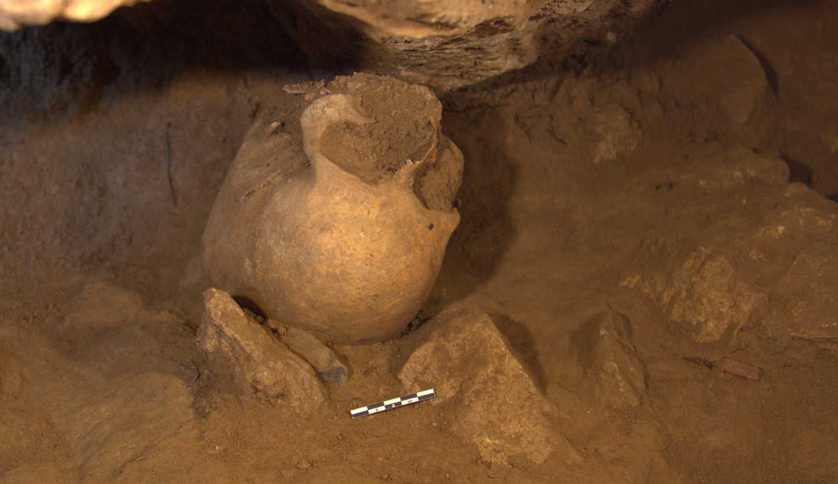 La última campaña en la Cova dels Xaragalls (Vimbodí-Poblet), dirigida por <a href="/WhiteRabbit36/">Antonio Rodríguez-Hidalgo</a> e investigadores del @iphes_cerca, ha combinado tecnología avanzada y formación universitaria para seguir revelando el pasado prehistórico de la Conca de Barberà

🔗comunicacio.iphes.cat/cat/p/news/new…