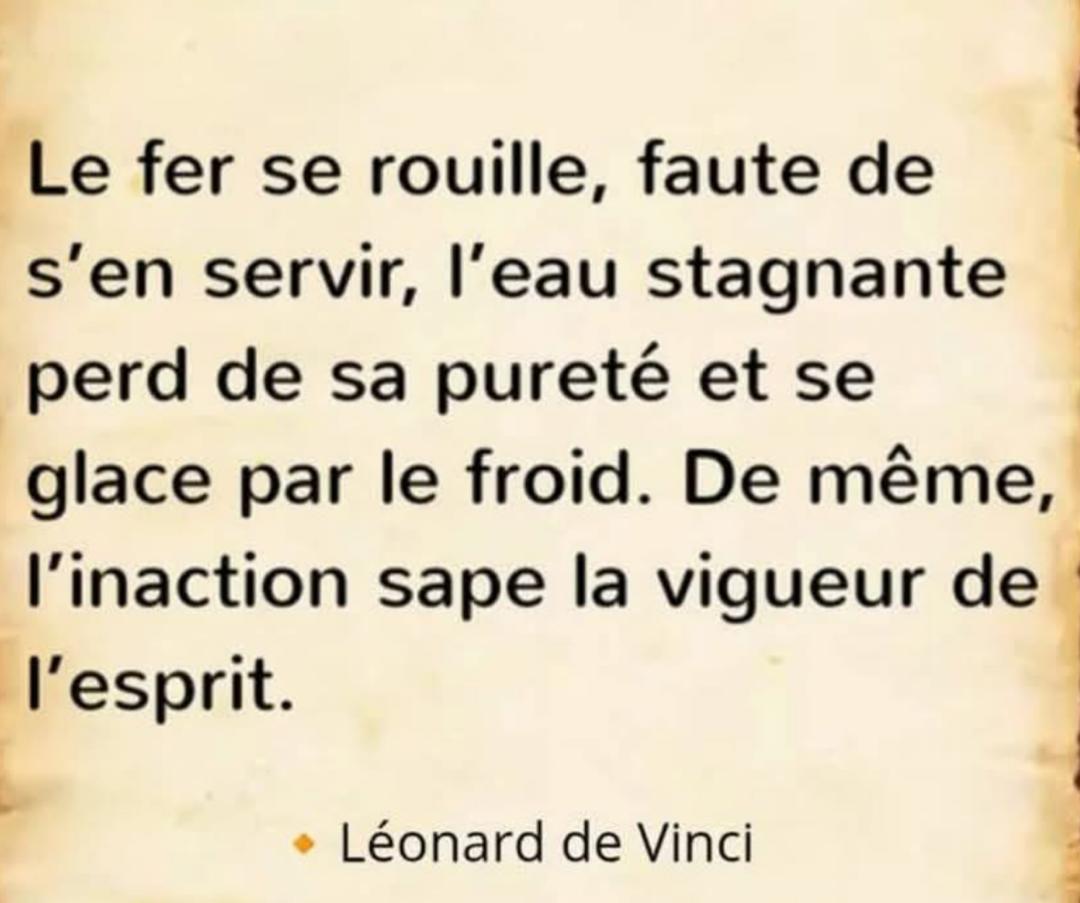 Voulez vous connaitre mon nouveau projet?

Il y a des projets qui vous réveillent la nuit.
Pas parce qu’ils sont urgents…
Mais parce qu’ils font peur.

J’ai réalisé que ce n’est jamais l’incapacité qui nous bloque,
mais cette petite voix qui murmure :
« Et si tu échouais ? »