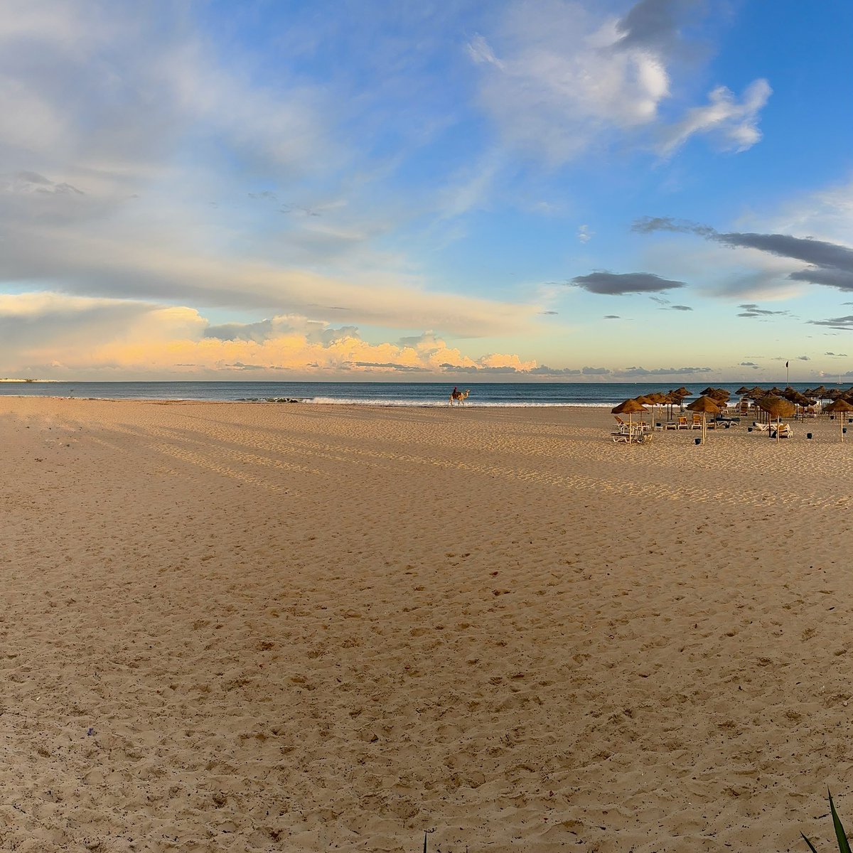 zen_zenscapec's tweet image. Empty beach, golden hour glow, just one lone wanderer and the whole Mediterranean to myself 🌅🌊
Off-season Tunisia = pure soul reset.
#EmptyBeach #GoldenHour #TunisiaOffSeason #MediterraneanVibes #Solitude #SunsetChaser #TravelTunisia #QuietMoments #BeachTherapy 🏖️✨