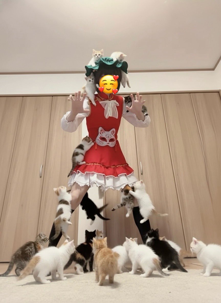 なおや（直也） tweet media