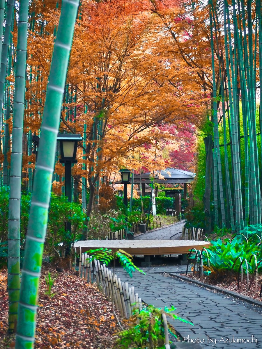 🍇 ゆゆまる ♋️ (@yuyumaru_718) / Posts / X