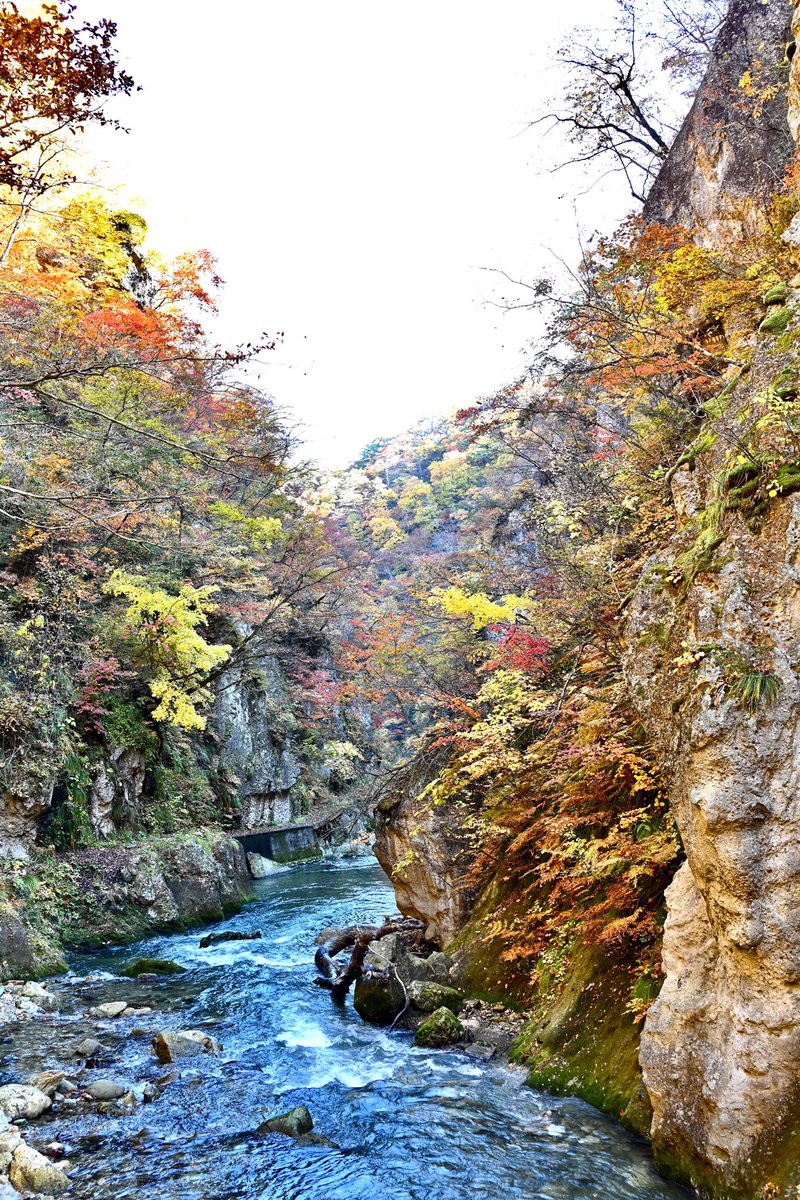 🍇 ゆゆまる ♋️ (@yuyumaru_718) / Posts / X