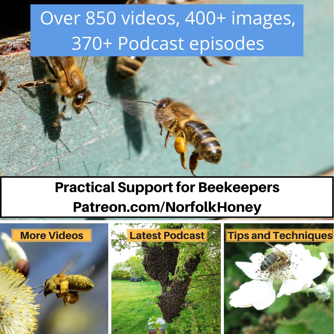 NorfolkHoneyCo's tweet image. Join us at Patreon.com/norfolkhoney for help and advice.

#beekeeping #beekeepingforall #beginnerbeekeeper