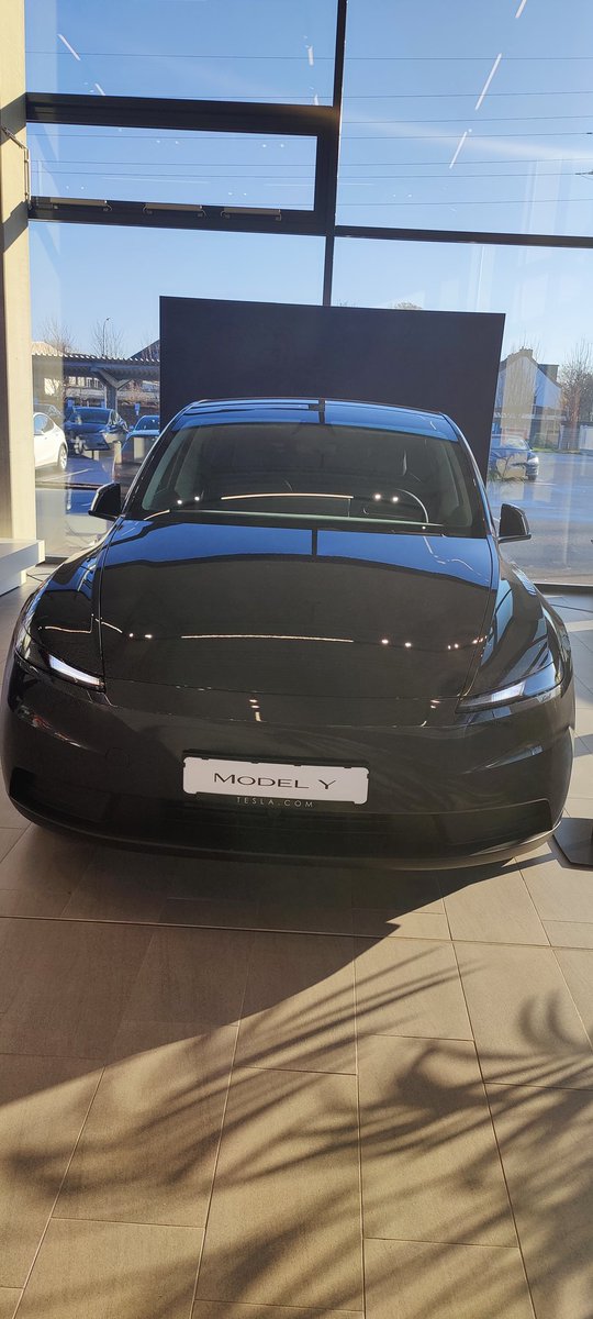 TFF e.V. tweet media