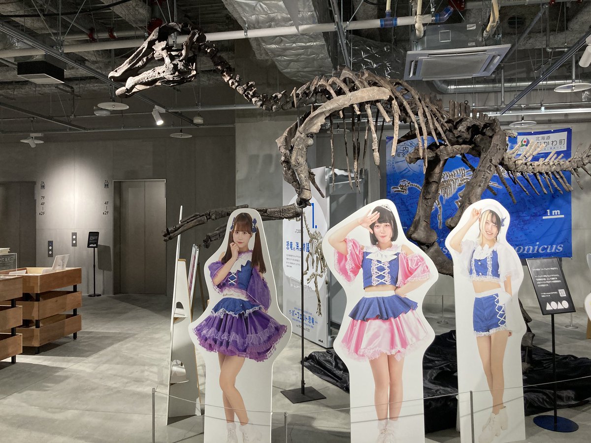 aoao様ご確認ページ AOAO SAPPORO（アオアオ サッポロ） (@aoao_sapporo) / Posts / X