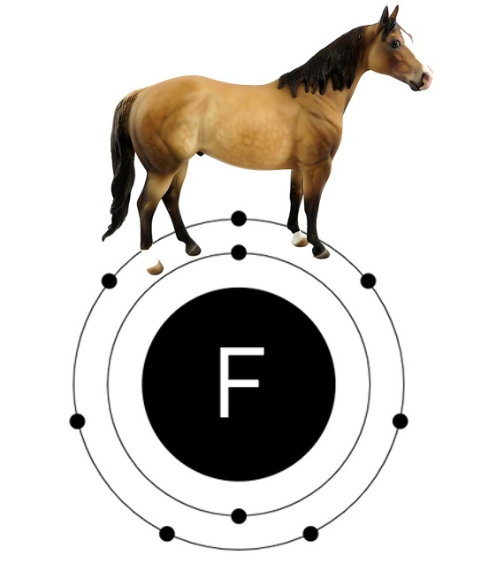 Dr. Christian Scharun tweet media