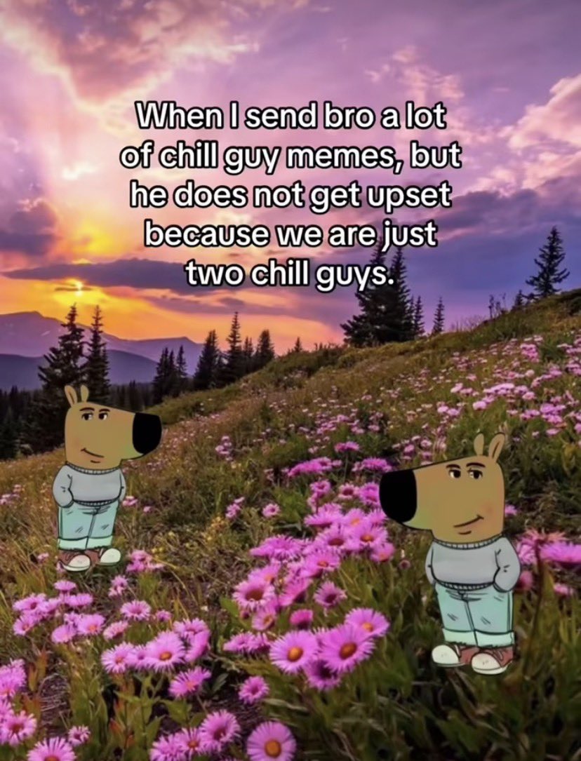 ChillguyAchal's tweet image. “This isn’t just friendship, it’s chillness level 100 🔥
#ChillGuy #BroCode #FridayVibes