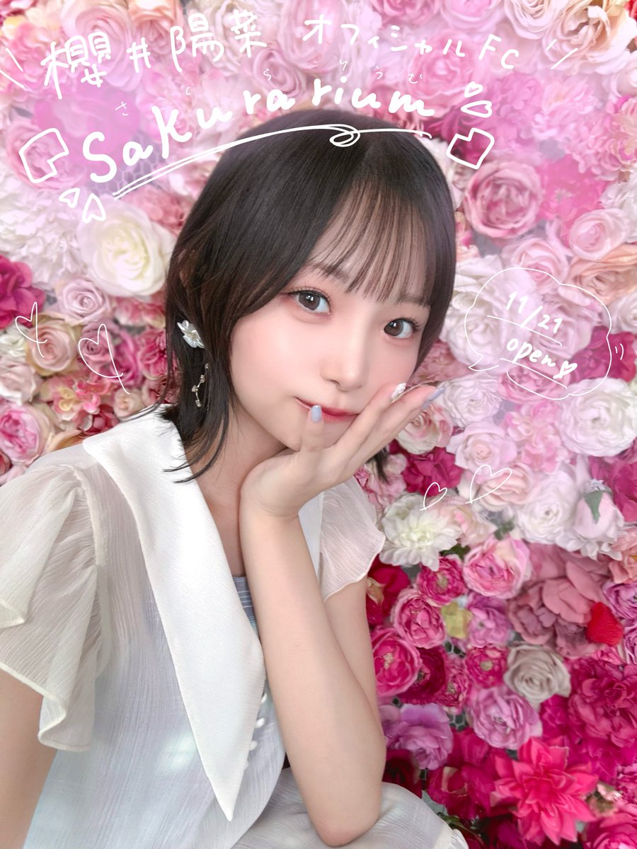 sakuraihi_na's tweet image. 🌸おしらせ🌸

櫻井陽菜OFFICIAL FANCLUB 【#Sakurarium】
本日11/21よりオープンしました！❀.*ﾟ

秘密の図書館みたいな、居心地のいい空間にしたくて名付けてみました☺︎
皆さんと一緒に、”やってみたい“を沢山叶えていけたら嬉しいです！

よろしくお願いいたします🐣🗝️

hina-sakurai.com