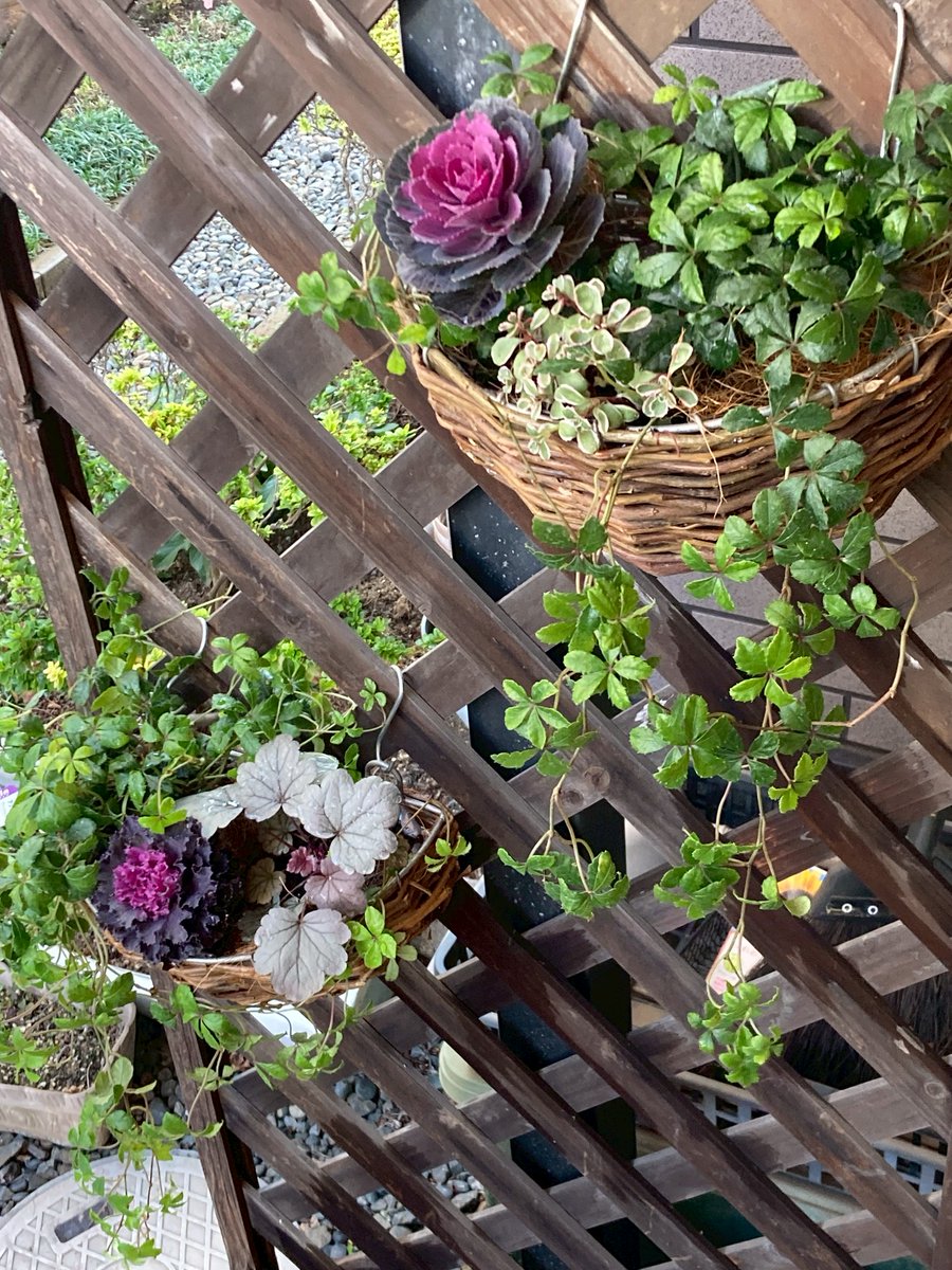 Plum's (@umeumezoozoo) / Posts / X