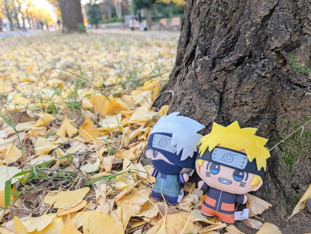 aabbccabccccc44's tweet photo. カカナルぬいちゃん＆紅葉！！🍁🍂 https://t.co/19yPGrVF47