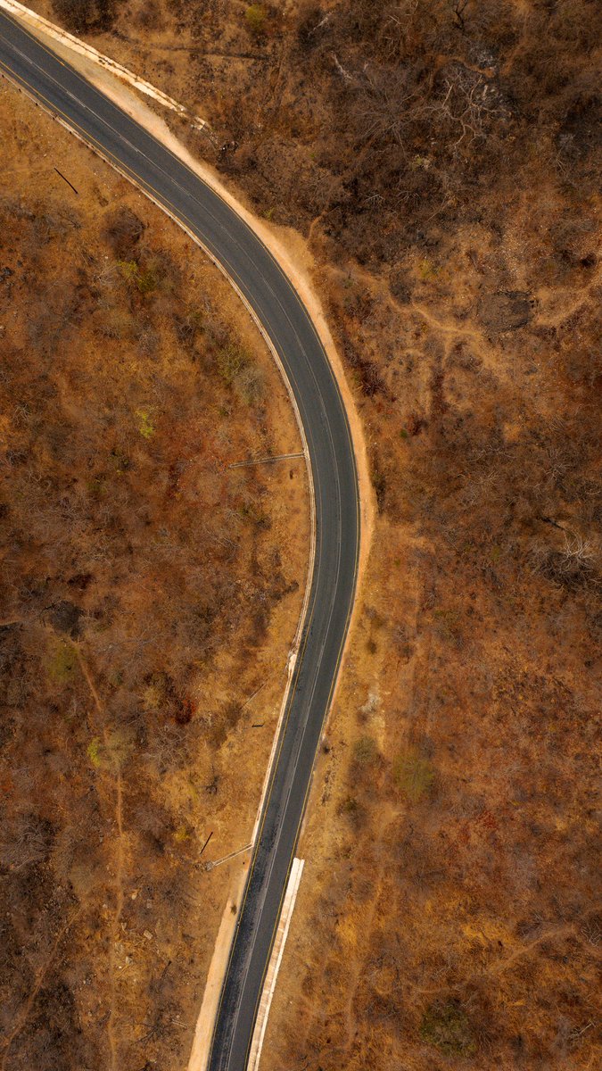 SeverinoTheWolf's tweet photo. Luangwa shot by yours truly. 

T4 is undoubtedly the best road to drive 🤌🏾🤌🏾 https://t.co/RFwYKolh75