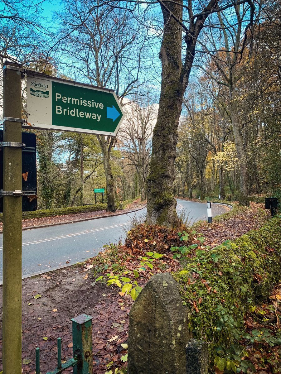 Happy #fingerpostfriday .

Photo from Rivelin Valley Trail Autumn walk. 

#PhotoFriday #TheOutdoorCity #SheffieldCity #AutumnVibes