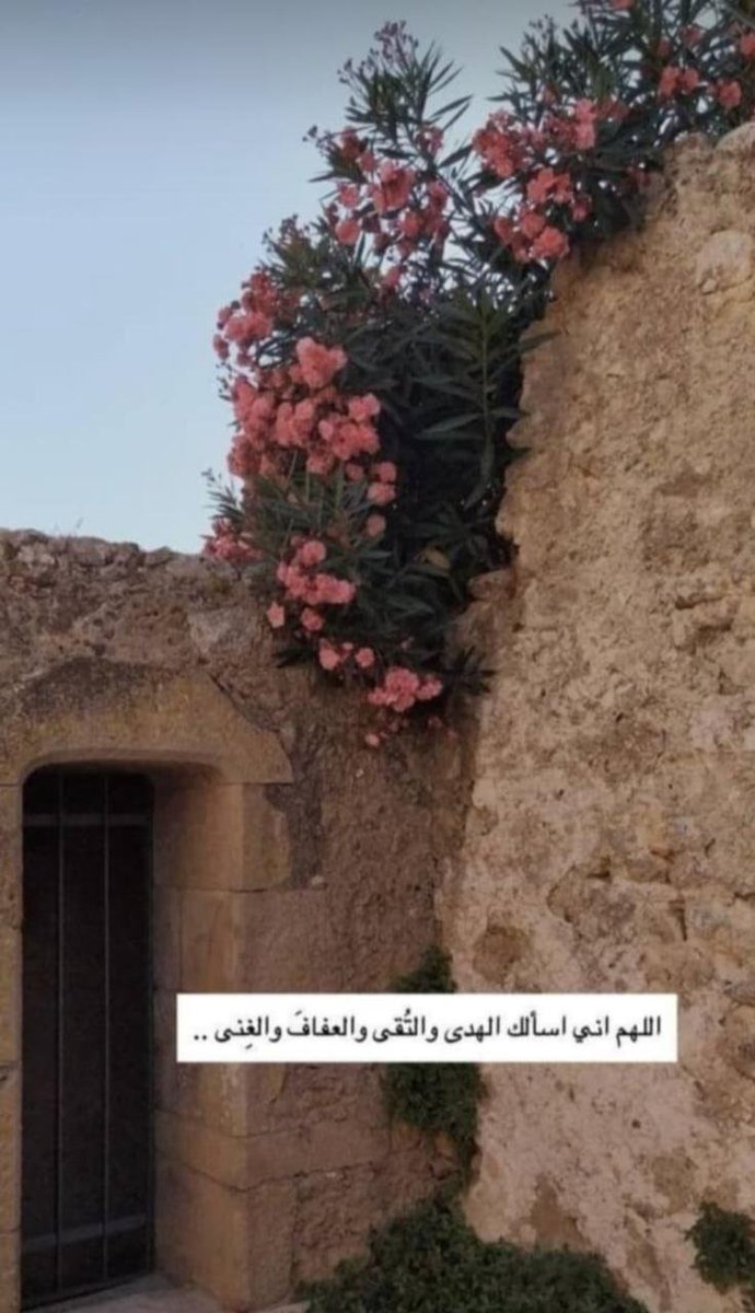 🦋بنت الأميره 🦋 tweet media