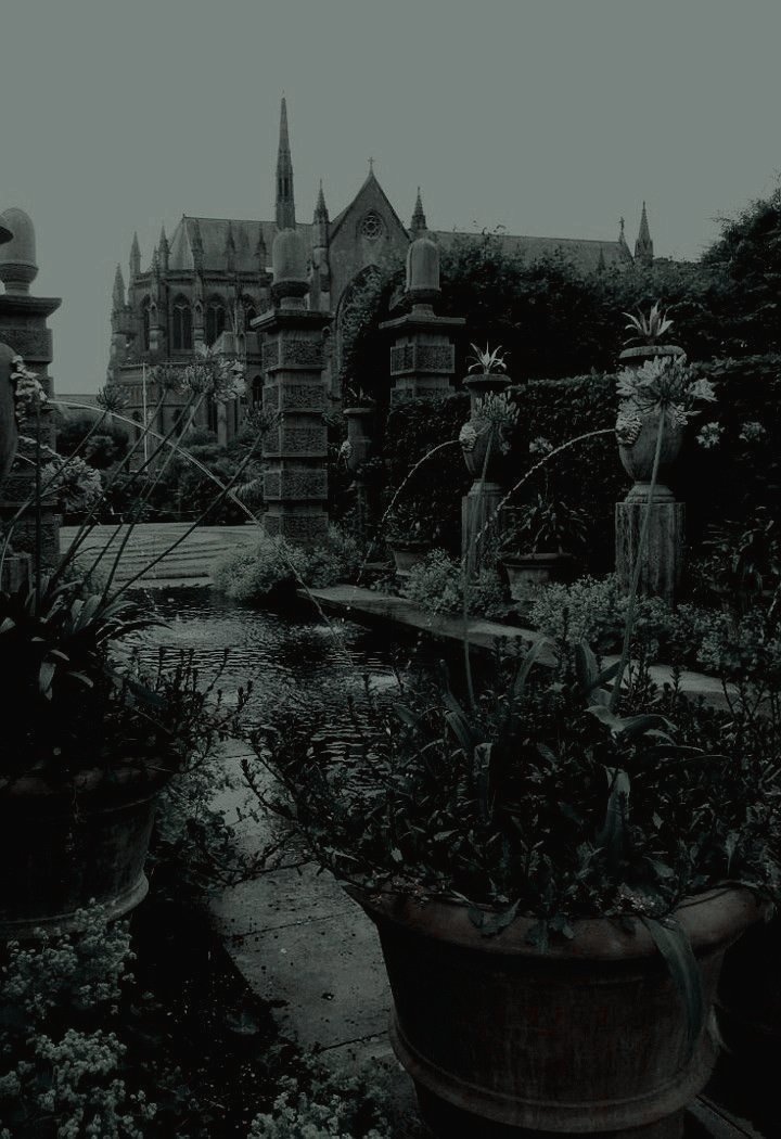 mediante red flú, escobas o trasladores. 

A su izquierda, se encuentran los grandes jardines, que podrán visitar en cualquier momento.