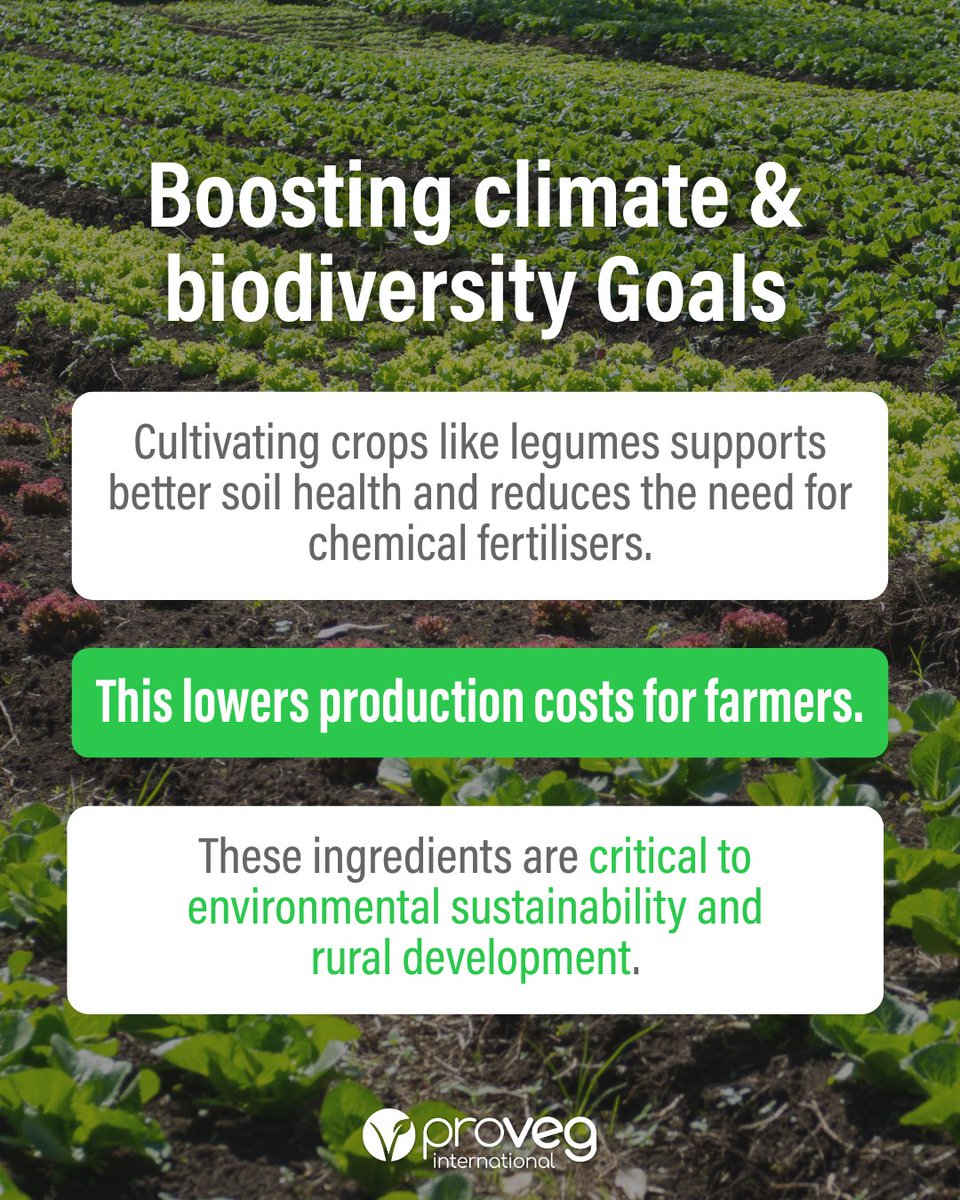 ProVeg_Int's tweet image. The future of sustainable farming &amp;amp; food in the EU is at risk. 🚨 Restricting names like &quot;veggie burger&quot; not only harms consumer choice but directly undermines high-value markets for EU farmers who grow essential crops like pulses.
🖊️ Sign the petition: hubs.ly/Q03TtvF30