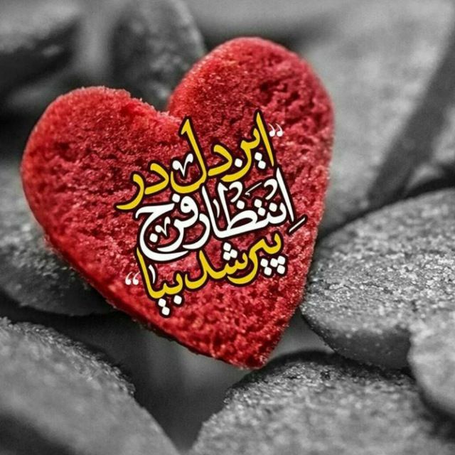 جمشیدی tweet media