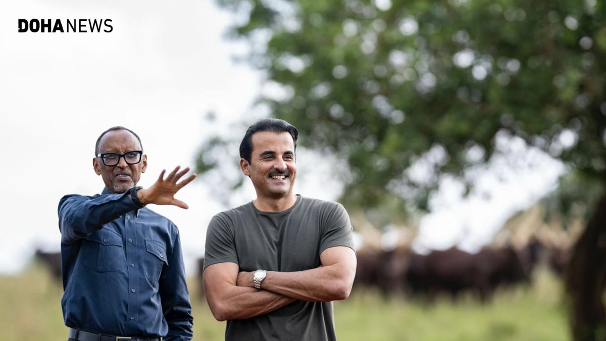 dohanews's tweet photo. #Rwanda’s President @PaulKagame has gifted #Qatar’s Amir Sheikh @TamimBinHamad Al Thani a pair of Inyambo cows, a gesture he described as “a symbolic tradition signifying friendship, mutual respect, and the strong bond between the two leaders and their nations”.Sheikh Tamim arrived in Rwanda on Thursday for an official visit, holding talks with Kagame on strengthening ties between #Doha and #Kigali. Kagame also took the Amir on a tour of his farm.