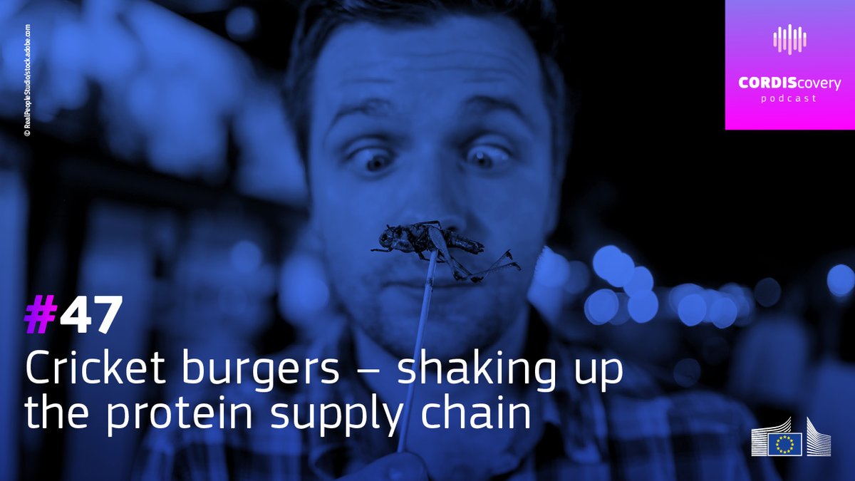 CORDIS_EU's tweet image. 🦗 🍽️Crispy grasshoppers, anyone?

In this #CORDIScovery episode, we explore the future of food with #EUfunded researchers working on plant-based &amp;amp; insect protein. From bugs to burgers, it&apos;s time to rethink what&apos;s on our plate. 
🎧 europa.eu/!kqcc9j

@HorizonEU @susinchain
