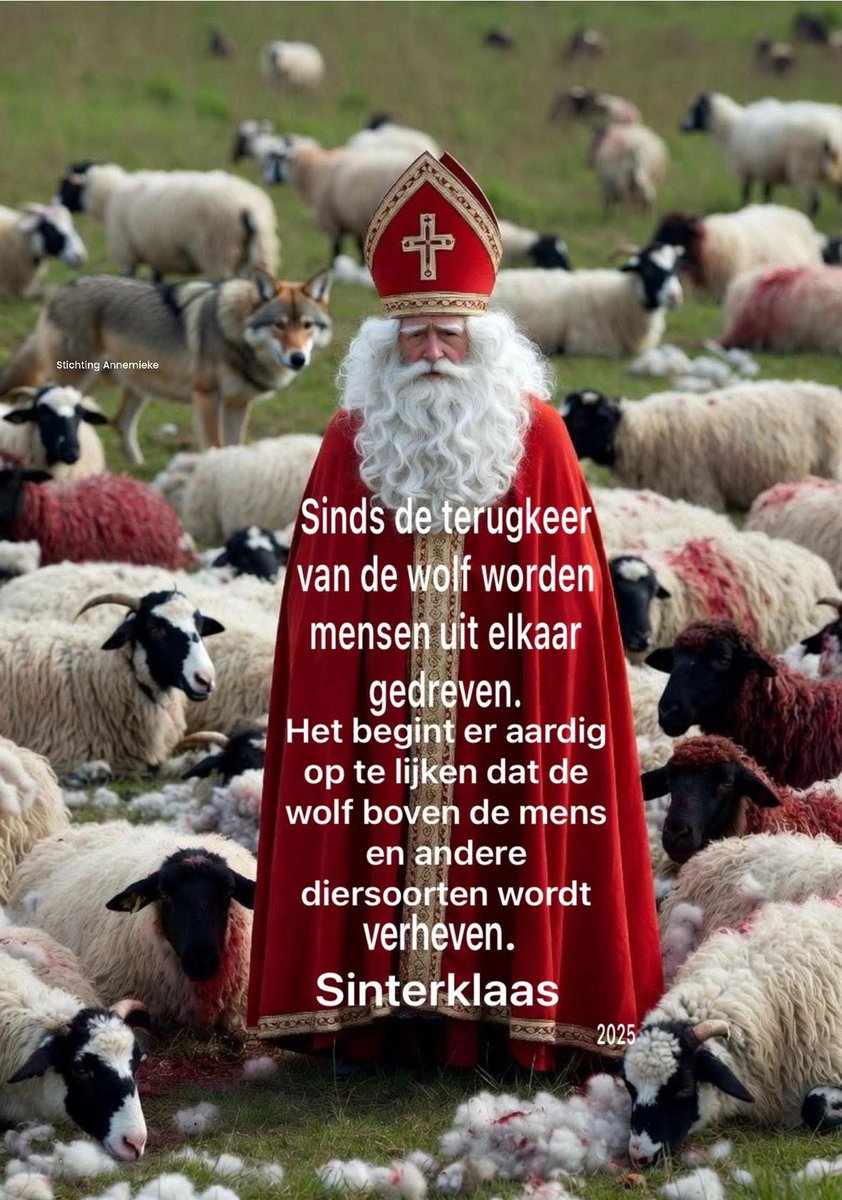 #wolf #sinterklaas🐺❌