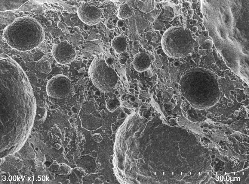 Hitachi_EM's tweet image. Happy National Cake Day ! 🎂🍰🍓
(November 26)
#ElectronMicroscope #electronmicroscopy 

Cryo-SEM of air bubbles and fat globules in fresh cream