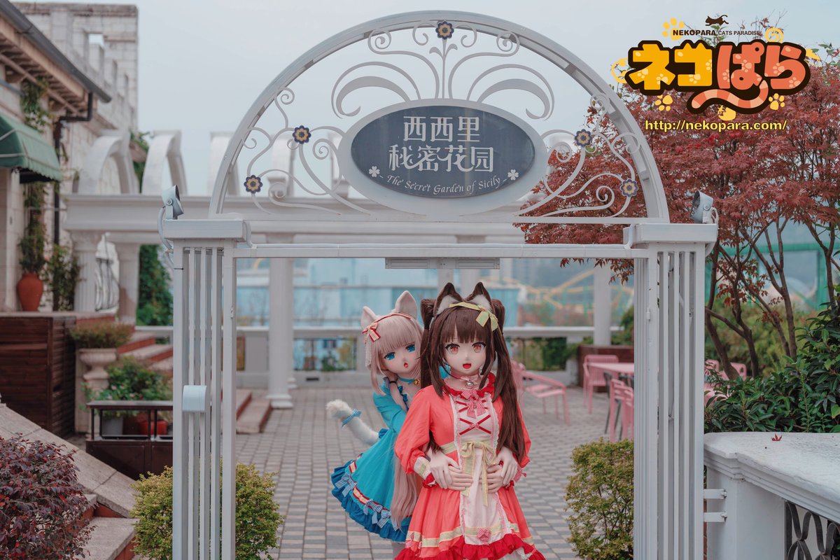 小菲菲pro tweet media