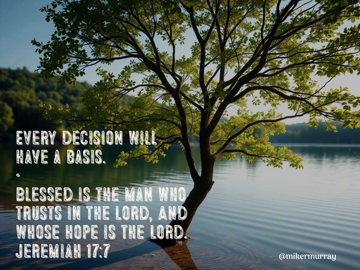 mikermurray's tweet image. #rooted