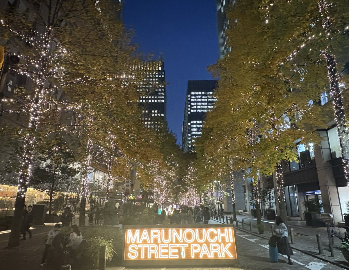 GreatestClassic's tweet image. 今日は東京で用事があったので丸の内を歩いて1万歩達成✨

年末のイルミネーションが始まっていて散歩しながら癒されました。

数年前はこの辺りで働いていて日常の景色だったけれど、離れてみると贅沢なものだったんだなとしみじみ🌙

#ウォーキング　#ダイエット　＃健康　#フィットネス 　＃散歩…