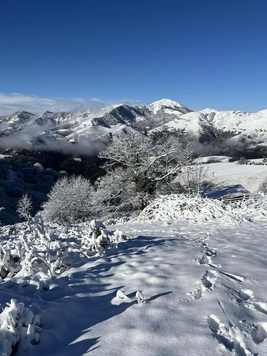 Météo Pyrénées tweet media