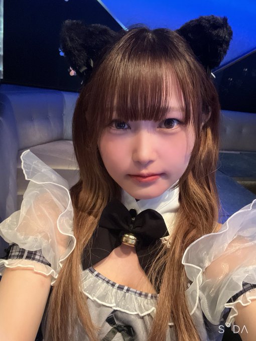 コンセプトカフェBeeのツイート