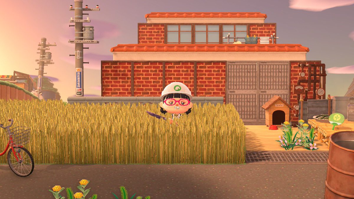 두루미와거북이삼천갑자 tweet media